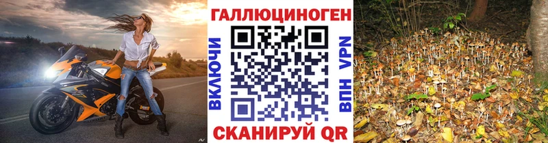 Псилоцибиновые грибы GOLDEN TEACHER  Энгельс 